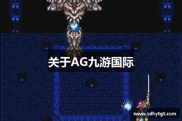 关于AG九游国际